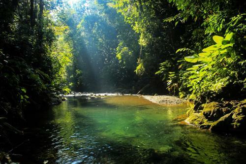 Lodge Casa R�o Sierpe