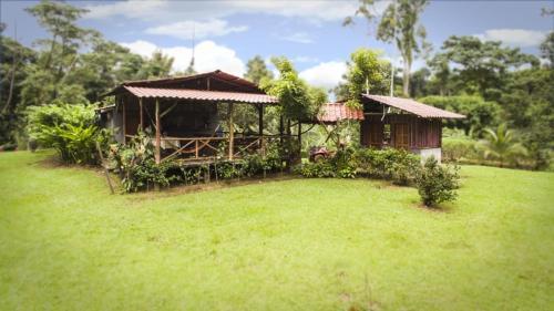 Apartamento Naguala Condo #256747