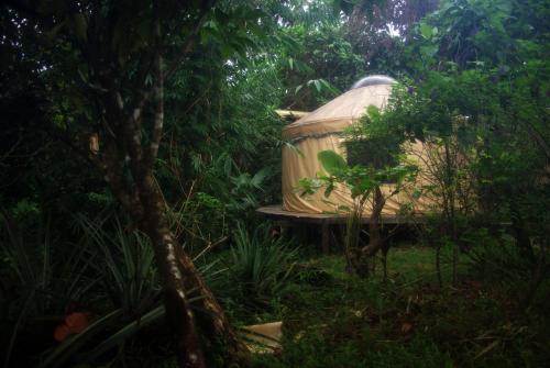 Hotel Pachamama Drake