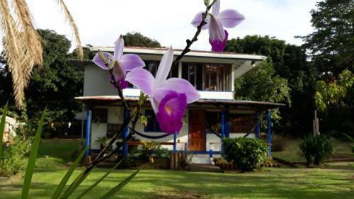Agroturismo Jardin Del Motmot