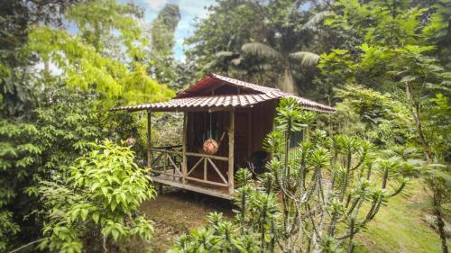 Apartamento Naguala Condo #257002