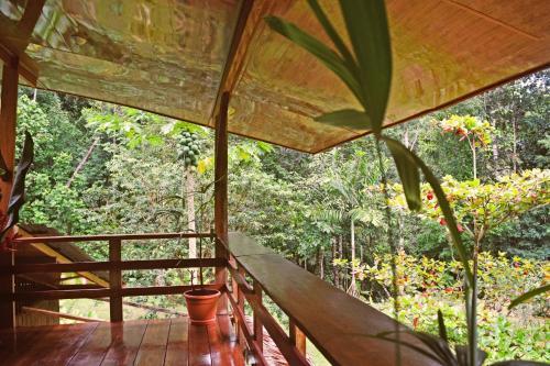 Agroturismo Monkey Lodge