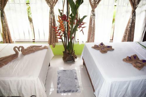 Agroturismo Monkey Lodge