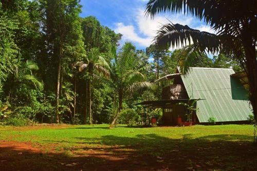 Agroturismo Monkey Lodge