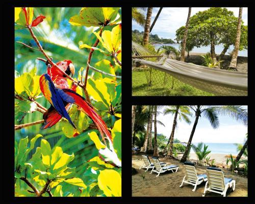 Hotel Casa Corcovado Jungle Lodge