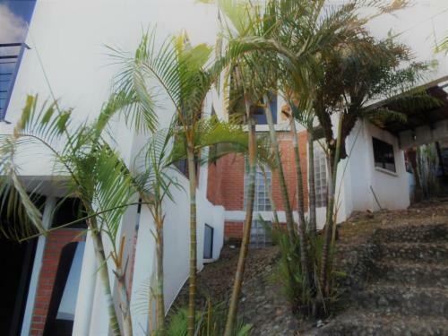 Bed & Breakfast Salamandra Room
