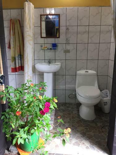 Hostal Wood House Hostel