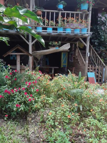 Hostal Wood House Hostel
