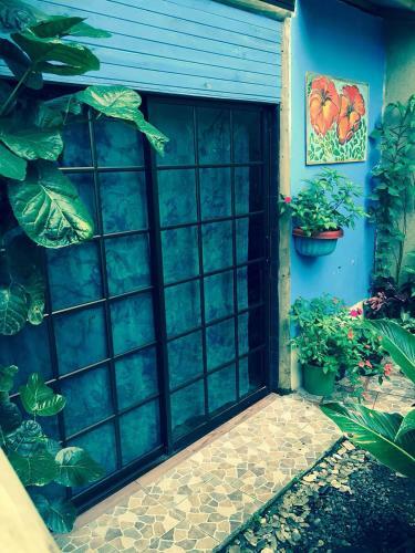 Hostal Wood House Hostel