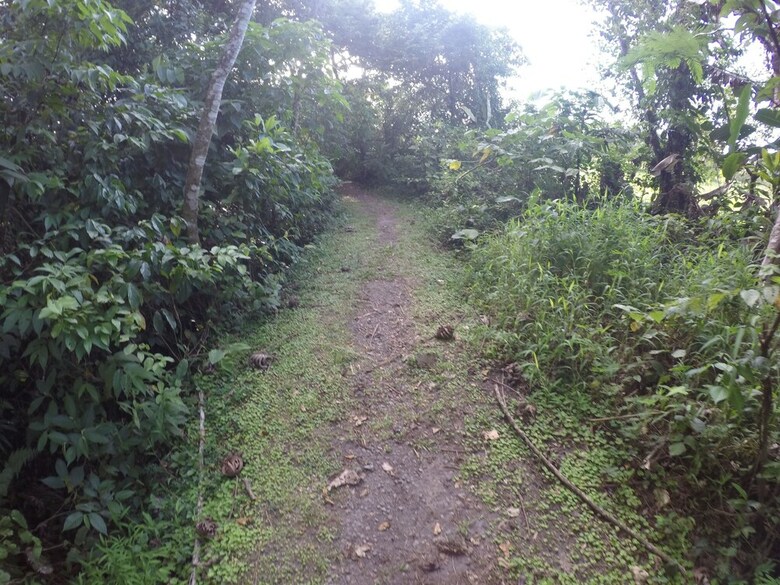 Lodge Arenal Xilopalo