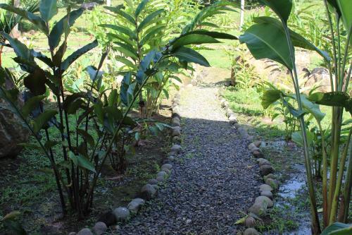 Arenal Villa Bukala I