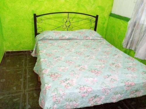 Hotel La Choza Del Arbol