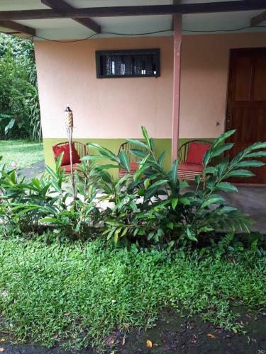 Apartamento Cabinas La Rivera