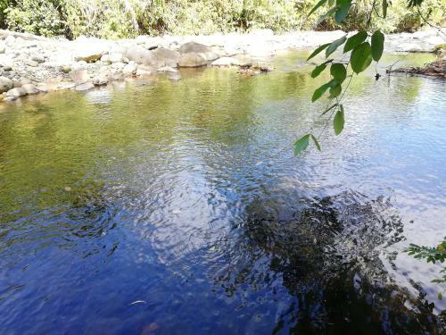 Lodge Oxygen Rainforest-wifi, A/c, River, Equipped