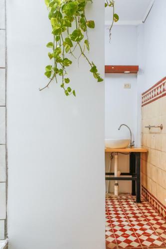 Albergue Casa Centuria
