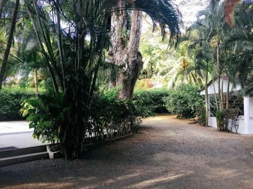 Agroturismo Villas Majolana