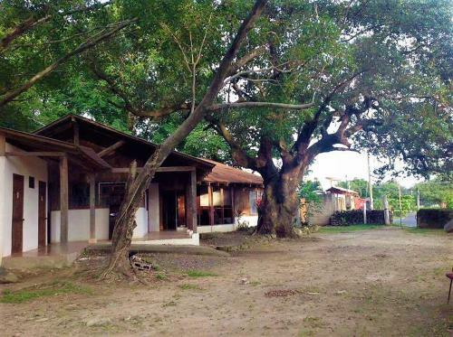 Congos Hostel Liberia