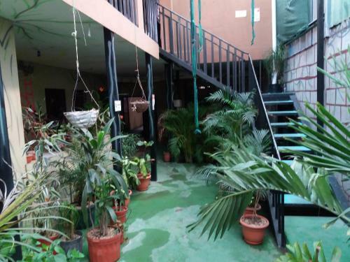 Hotel Hospedaje Jjj