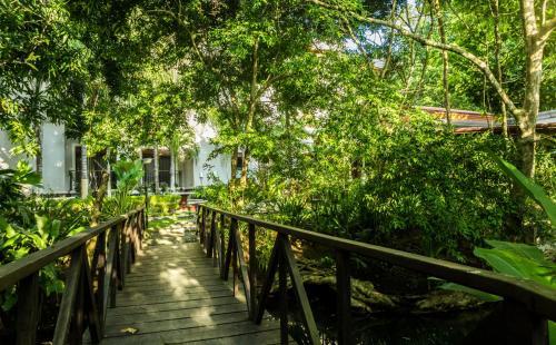 Apartamento Macaws Ocean Club #8 Condo