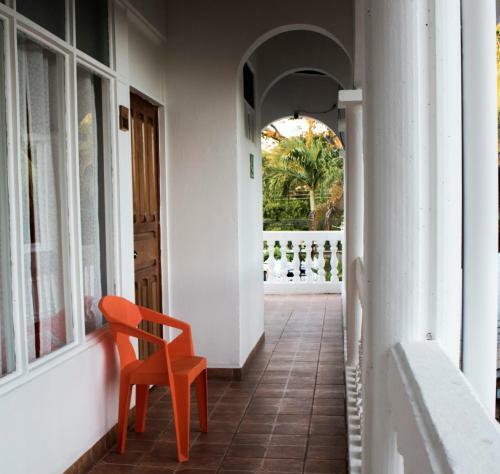 Bird Of Paradise Hotel