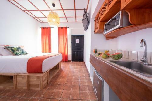 Bird Of Paradise Hotel