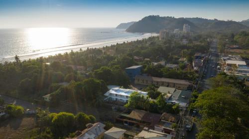 Bird Of Paradise Hotel