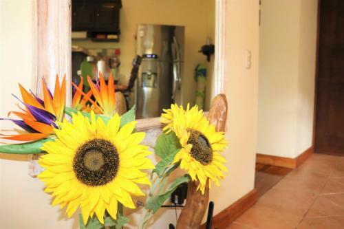 Apartamento Corteza Del Sol 1b Ground Floor By Pool