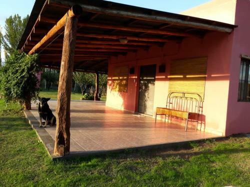 Lodge Las Potrancas