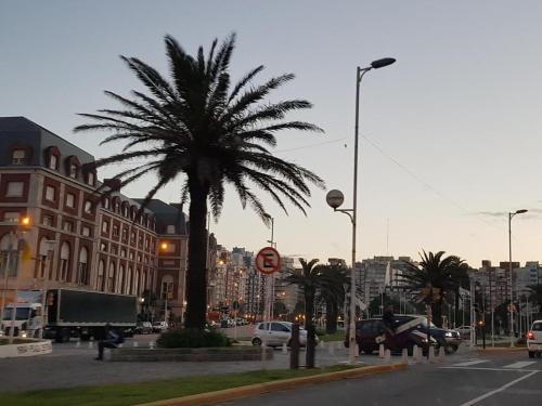 Apartamento Departamento V�ctoria