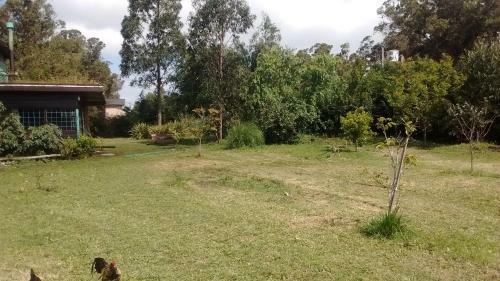 Lodge Posada Playas Del Sur