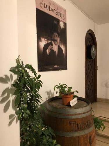 Hotel Hostel Del Teatro