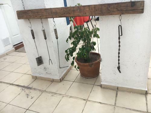 Apartamento Mendoza #7