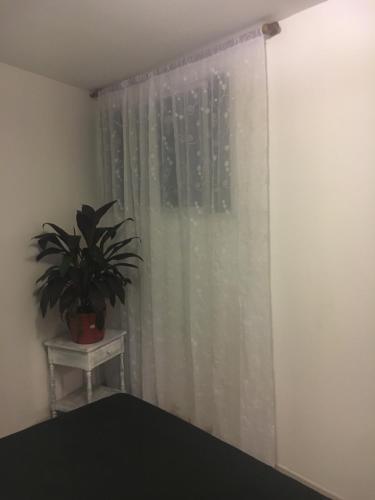 Apartamento Mendoza #7