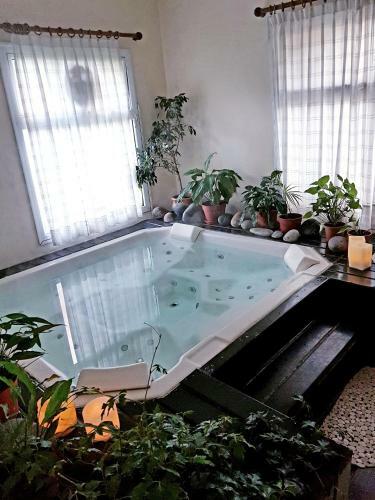 Arrullos Del Mar Apart & Spa