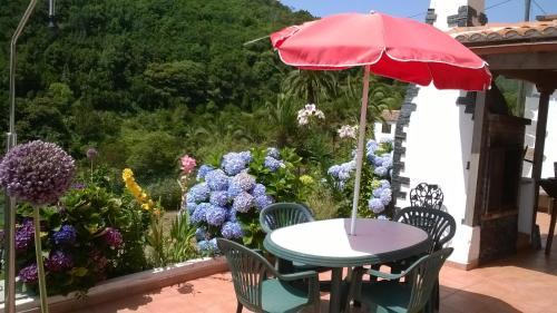 Apartamento Casa Medina