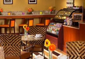 Hotel Oak Brook Hills Marriott Resort