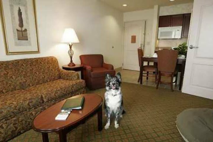 Hotel Homewood Suites By Hilton