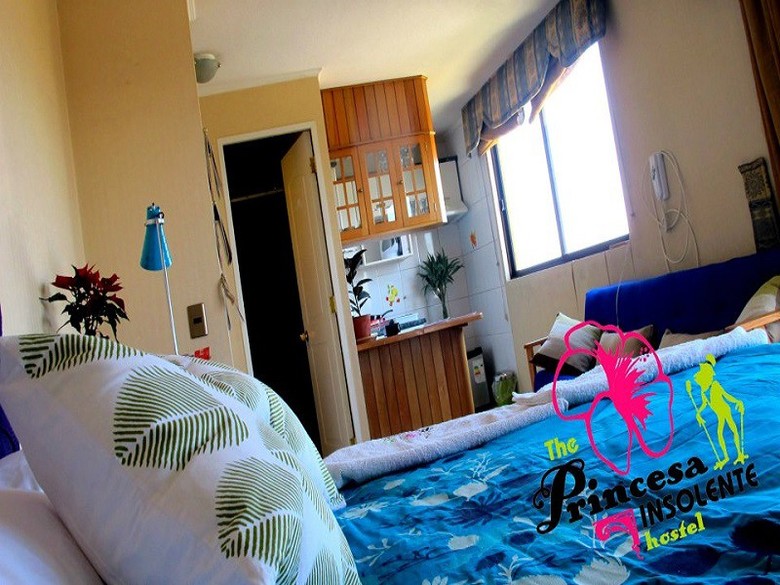 Hostal The Princesa Insolente Hostel