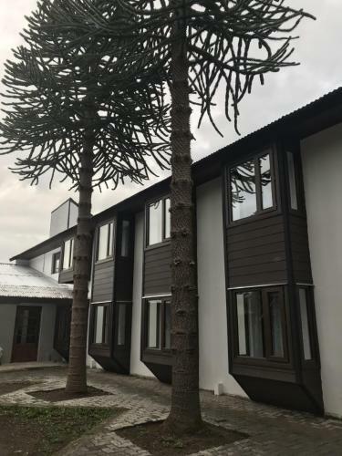 Hotel Aysen Austral