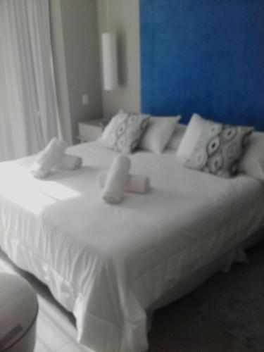 Apartamento Duplex De Lujo
