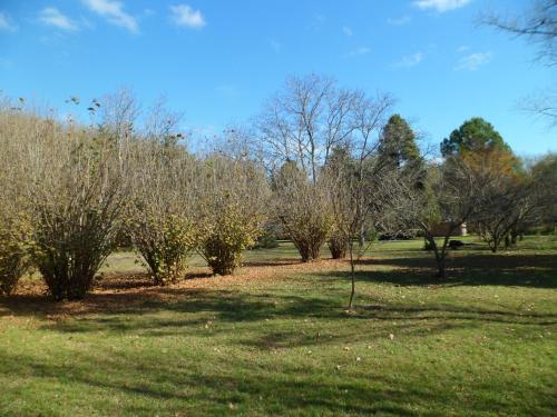 La Casita Del Vivero
