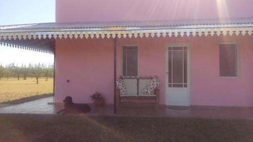 La Solita