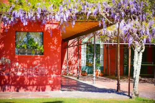 Agroturismo Estancia La Violeta