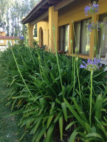 Agroturismo Alvariza