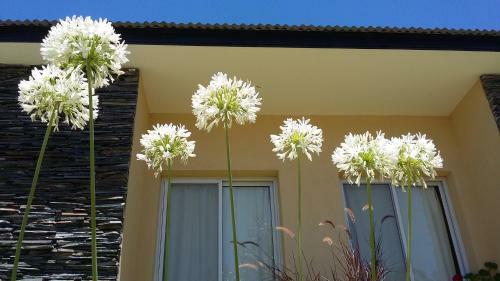 Lodge Rinc�n Del Urugua-i