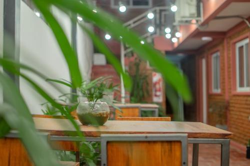 Posada Hosteria Col�n