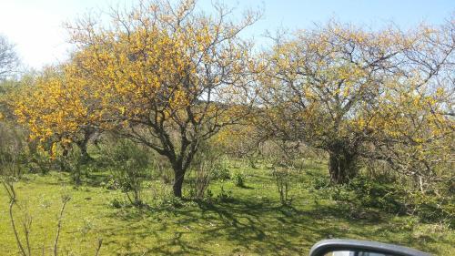 Lodge Caba�as Aires De Campos