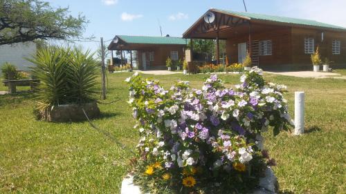 Lodge Caba�as Aires De Campos