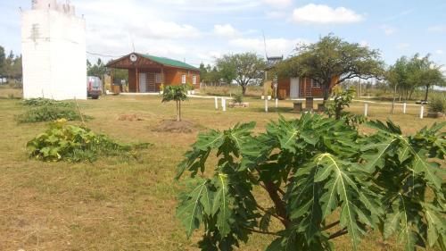 Lodge Caba�as Aires De Campos