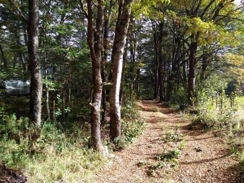 Lodge Domo Entre Bosques